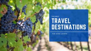 The Best Travel Destinations For Wine Lovers